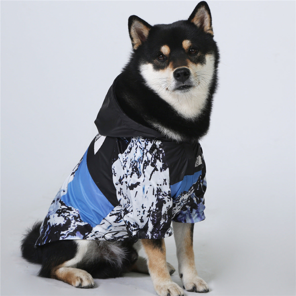 The Dog Face Regenjacke in 4 verschiedenen Varianten